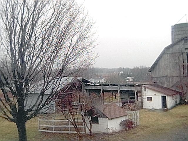 Backyard and Barn