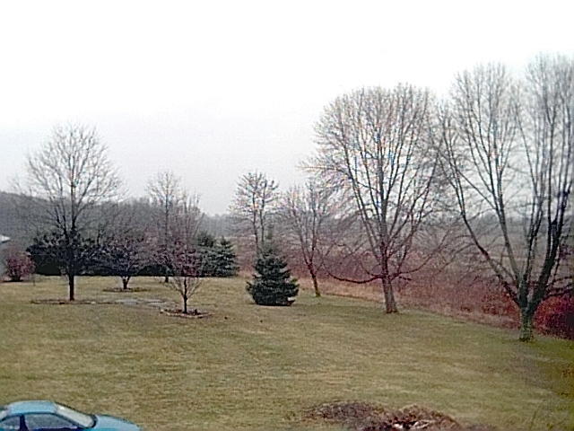 Backyard and Barn